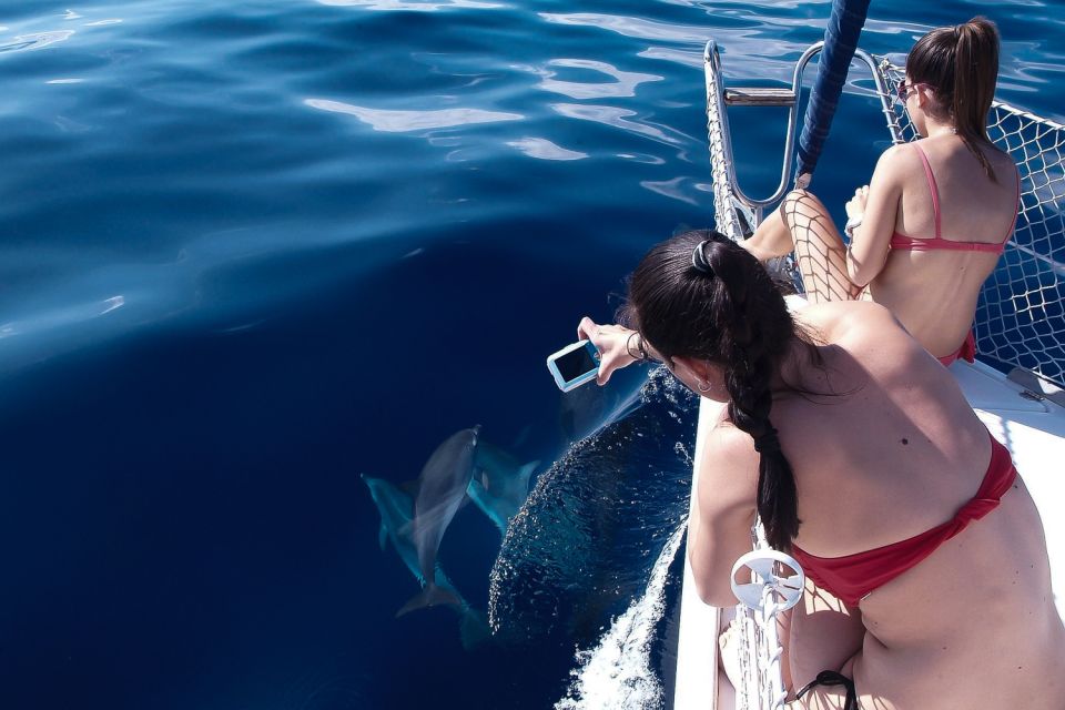 Tenerife: 3 &-6 Hour Private Whale & Dolphin Watching - Who Should Book This Private Whale and Dolphin Sail