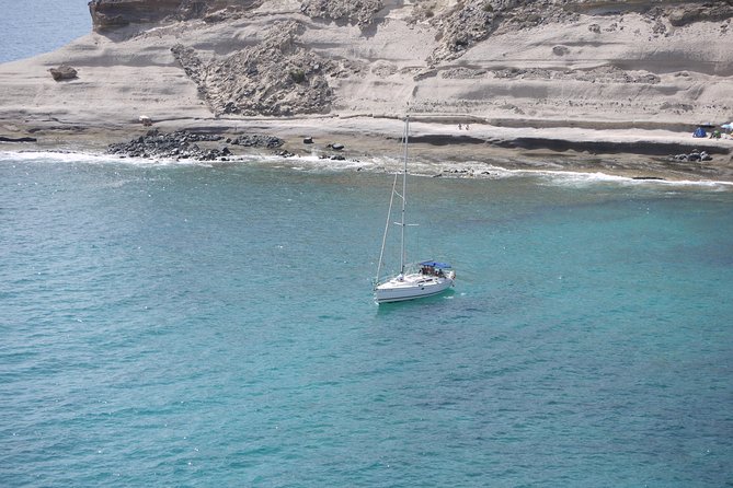 Tenerife 3-Hour Discover Whales and Dolphins - Key points before you go
