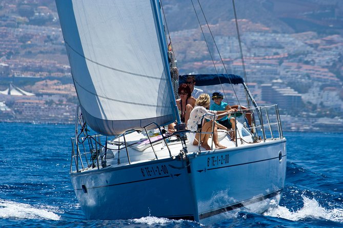 Tenerife 3-Hour Discover Whales and Dolphins - A 12-meter sailboat with room for just 10: what that changes for your day