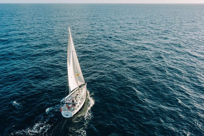 Tenerife 3-Hour Discover Whales and Dolphins - Snacks, baguettes, beer, and cava: eating well at sea