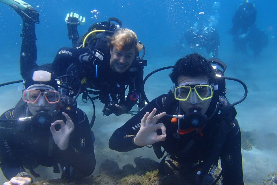 Tenerife: Abades Beach Beginner Diving Experience - Price and value: what $100 covers (and what you’ll pay extra for)