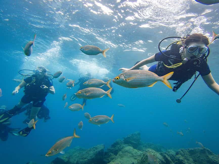 Tenerife: Beginner Scuba Diving Experience with Pickup - Tenerife’s First-Scuba Setup: Why This Island Works