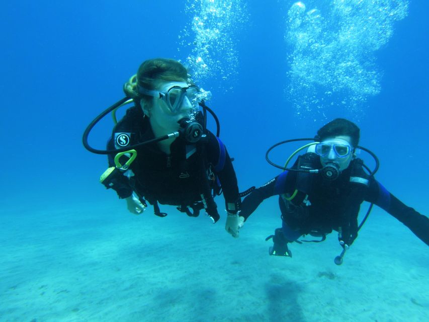 Tenerife: Beginner Scuba Diving Experience with Pickup - Should You Book This Tenerife Beginner Scuba Session?