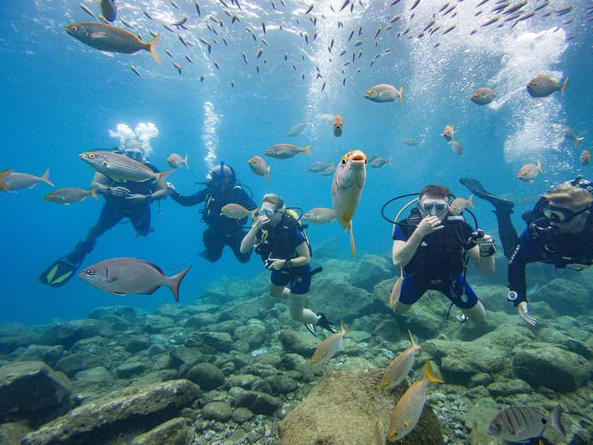 Tenerife: Beginner Scuba Diving Experience with Pickup - Where You Meet and How Pickup Usually Works