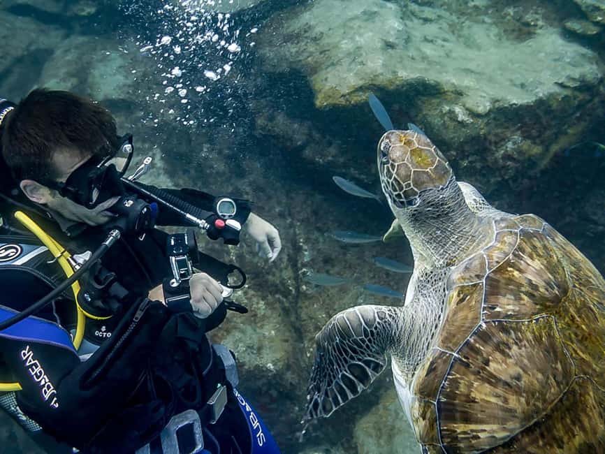 Tenerife: Beginner Scuba Diving Experience with Pickup - Gear Up: What You’ll Learn Before You Go Under