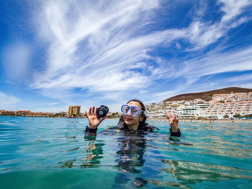 Tenerife: Beginner Scuba Diving Experience with Pickup - Marine Life Chances: What to Watch For