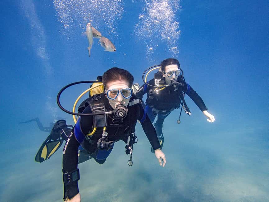 Tenerife: Beginner Scuba Diving Experience with Pickup - Price and Value: What $67 Actually Gets You
