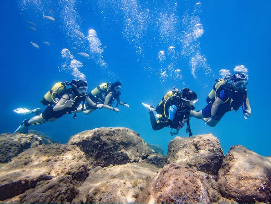 Tenerife: Beginner Scuba Diving Experience with Pickup - Who Should Go, and Who Should Skip This One