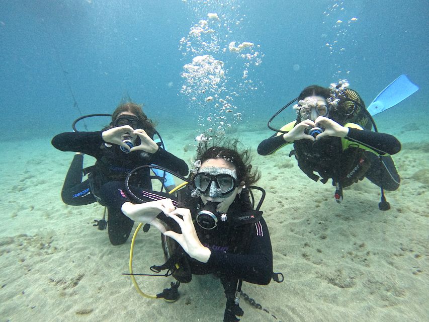 Tenerife: Beginner's Dive at a Spot with Turtle Sightings - Key points to know before you go