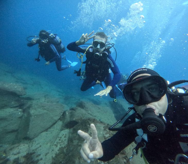 Tenerife: Beginner's Dive at a Spot with Turtle Sightings - First-time scuba in Tenerife, without the hand-wringing