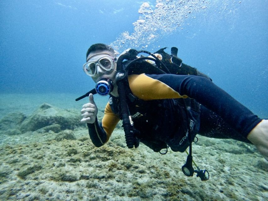 Tenerife: Beginner's Dive at a Spot with Turtle Sightings - The 30-minute safety briefing: calm beats courage