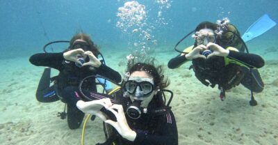 Tenerife: Beginner's Dive at a Spot with Turtle Sightings - Where you start: Zero Gravity Tenerife in Puerto Colón