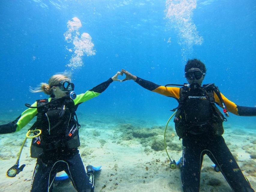 Tenerife: Beginner's Dive at a Spot with Turtle Sightings - Gear up: what’s provided (and what you should bring)