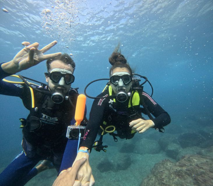 Tenerife: Beginner's Dive at a Spot with Turtle Sightings - The underwater portion (45 minutes): staying shallow, moving slow