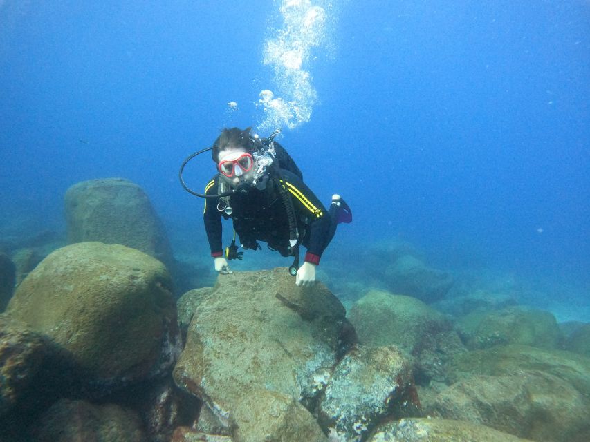 Tenerife: Beginners Scuba Dive Experience in Turtle Area - Speedboat time: short ride out, short ride back, big ocean mood