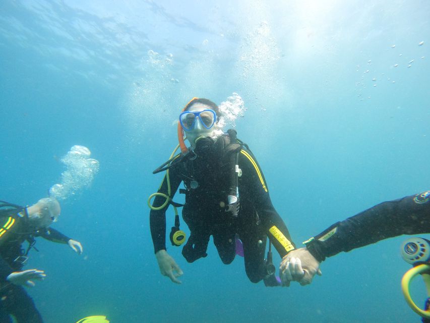 Tenerife: Beginners Scuba Dive Experience in Turtle Area - Views from the Atlantic: coastline scenery that’s part of the payoff