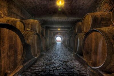 Tenerife Bodegas Monje Winery Tour with Wine and Cheese Tasting - The 90-minute flow: winery tour plus 4 wines with 4 island cheeses