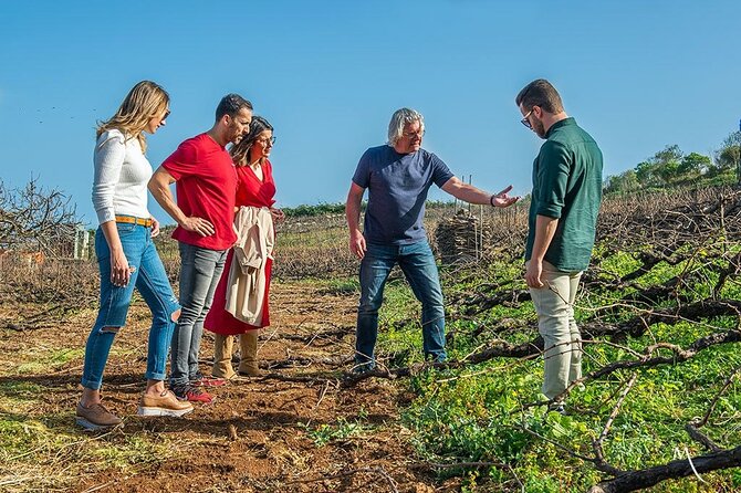 Tenerife Bodegas Monje Winery Tour with Wine and Cheese Tasting - Views and setting: the patio moment you’ll remember