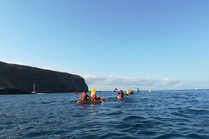 Tenerife by Kayak Adventure in small group - The Real Appeal: Dolphins and Turtles Without the Tour Planning Headache