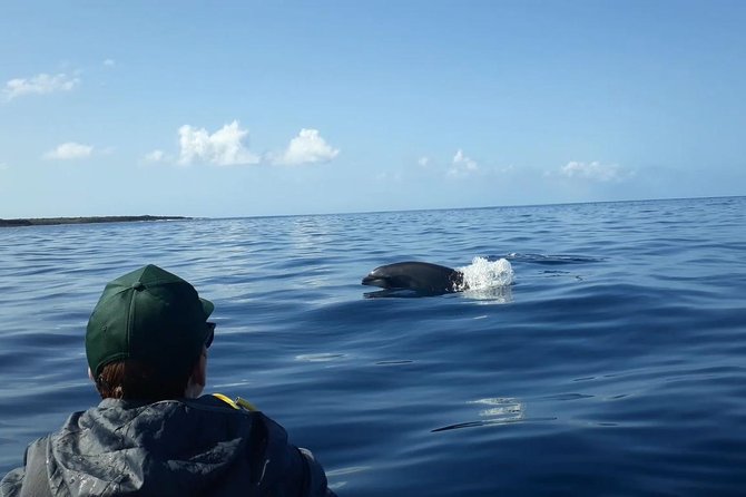 Tenerife by Kayak Adventure in small group - Playa de Los Cristianos Stop: Where the Trip’s Tone Starts