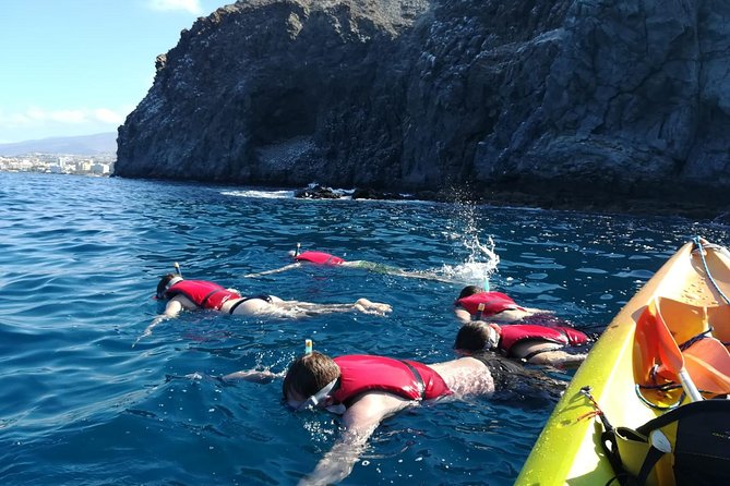 Tenerife by Kayak Adventure in small group - The Wildlife Moment: Dolphins and Sea Turtles Close to the Kayaks