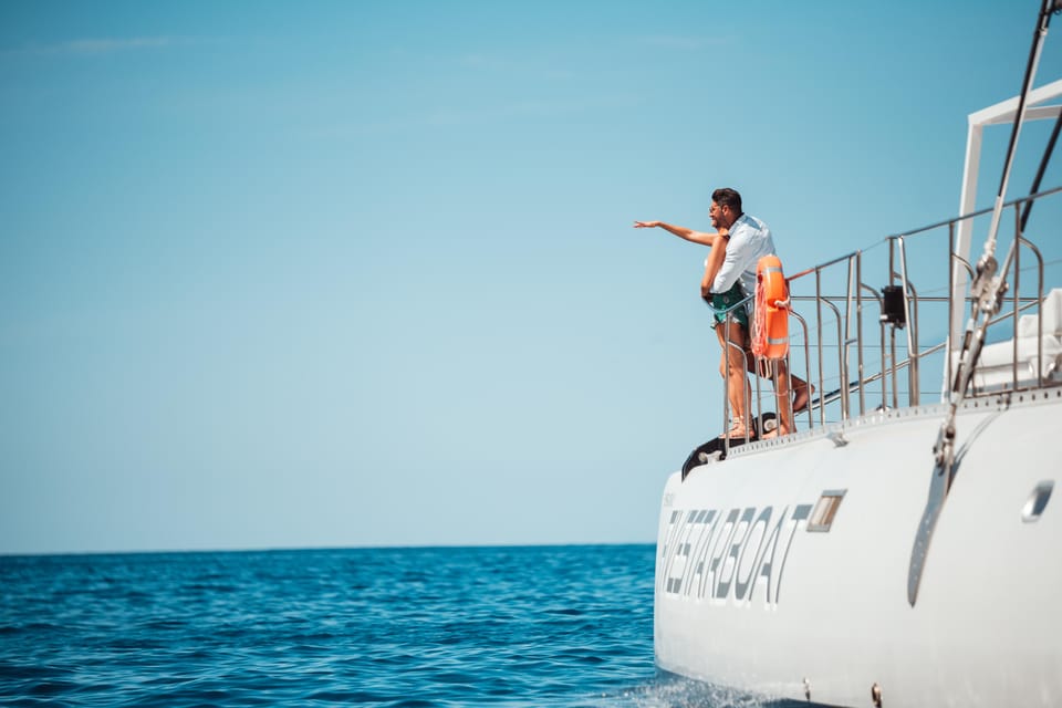 Tenerife: Catamaran Cruise with Brunch and Unlimited Drinks - Live commentary and marine spotting: how the crew makes it feel effortless