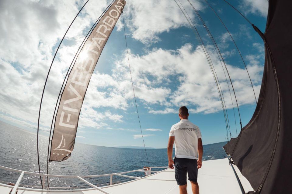 Tenerife: Catamaran Cruise with Brunch and Unlimited Drinks - Price and value at around $71: where you get your money’s worth