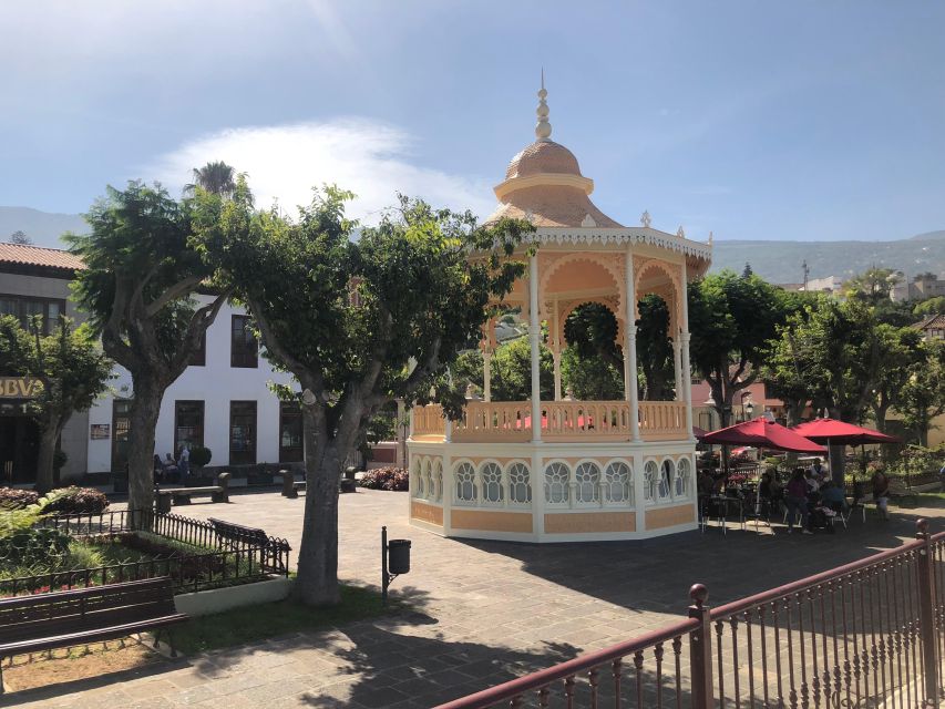 Tenerife: Complete Island Tour with Masca - A 9-hour Tenerife north-to-Masca route that feels like three trips