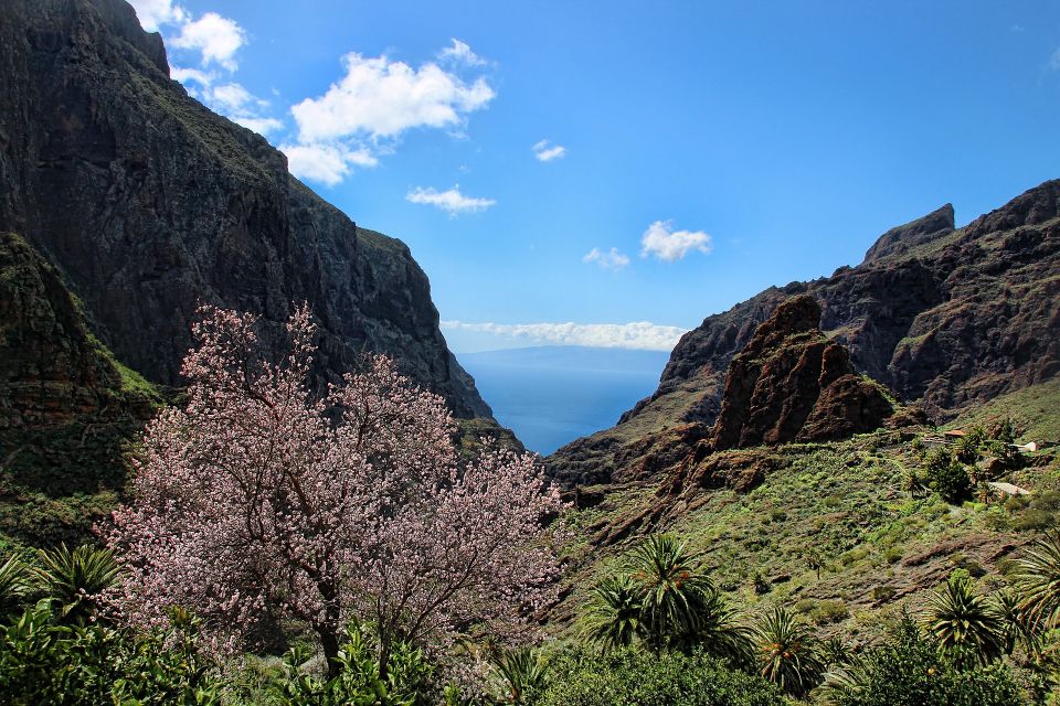 Tenerife: Complete Island Tour with Masca - FAQ