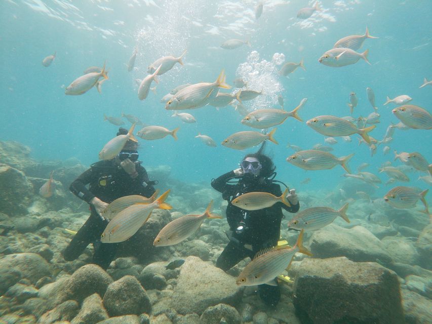 Tenerife: Costa Adeje Private Diving Lesson Experience - Key highlights you’ll care about