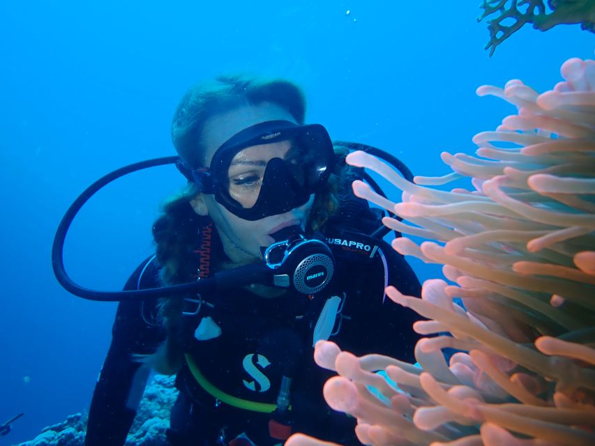 Tenerife: Costa Adeje Private Diving Lesson Experience - Your water skills: buoyancy control without panic