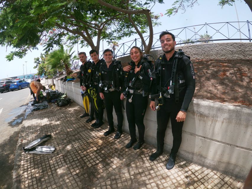 Tenerife: Costa Adeje Private Diving Lesson Experience - The underwater experience: one guided session with wildlife chances