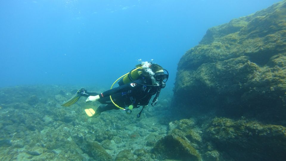 Tenerife: Discover Scuba Diving with Free Photos - Practical tips before you go to Puerto de las Galletas