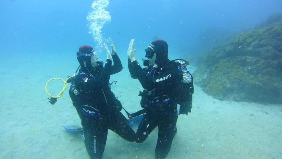 Tenerife: Discover Scuba Diving with Free Photos - Finding Ocean Friends at Marina del Sur, dock 5