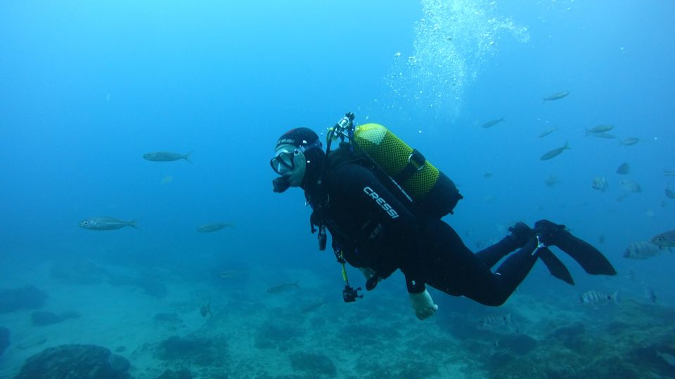 Tenerife: Discover Scuba Diving with Free Photos - Shallow practice in calm water: go at your pace