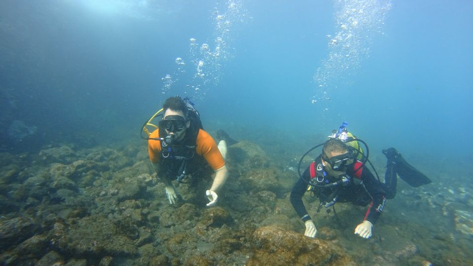 Tenerife: Discover Scuba Diving with Free Photos - Free photos: 2–3 per person, plus optional upgrades