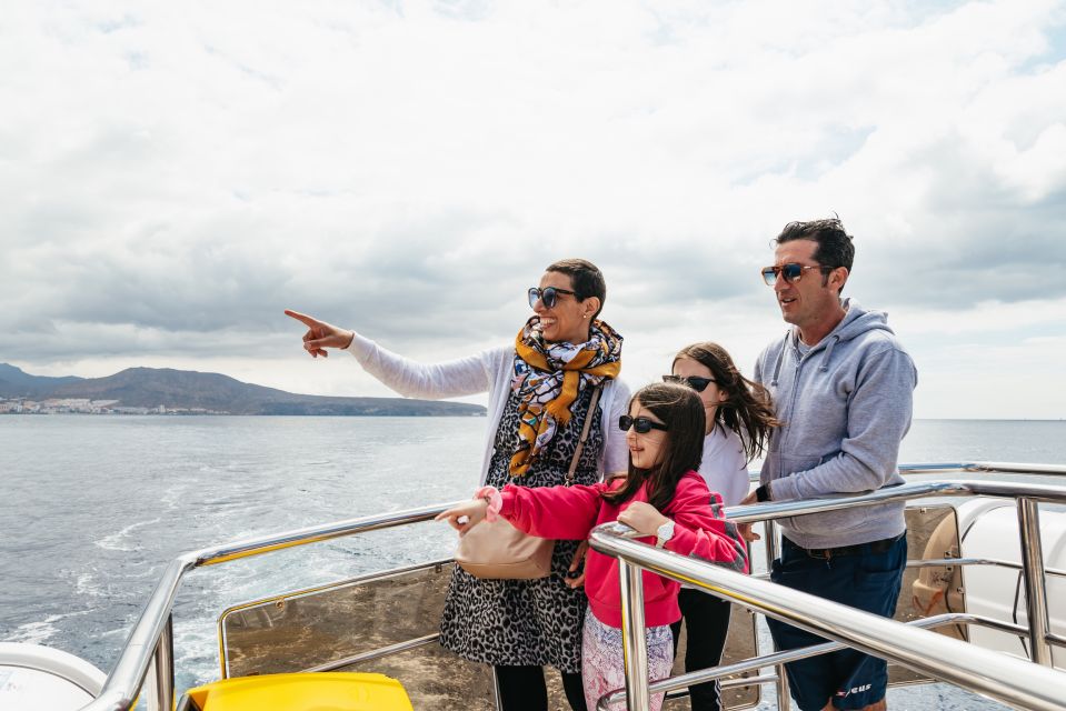 Tenerife: Eco-Yacht Whale and Dolphin Watching and Swimming - Price, Inclusions, and What You Need to Bring
