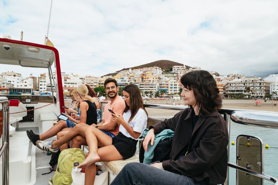 Tenerife: Eco-Yacht Whale and Dolphin Watching and Swimming - What You Might See: Dolphins, Turtles, and Several Whale Species
