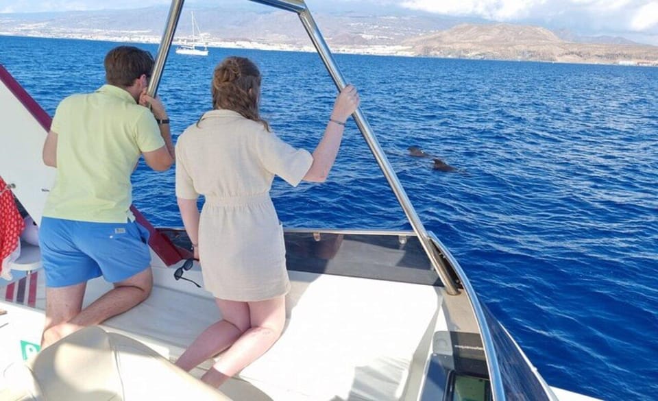 Tenerife: Eco-Yacht Whale and Dolphin Watching and Swimming - Cruise Structure: The Stops That Add Variety