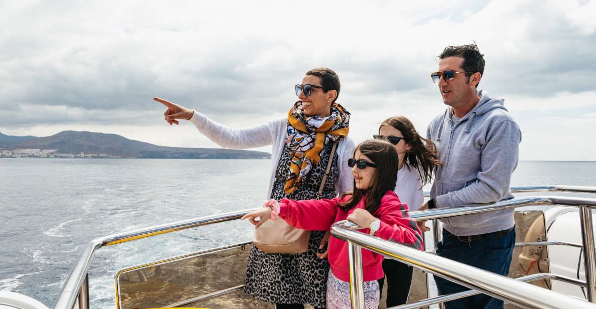 Tenerife: Eco-Yacht Whale and Dolphin Watching and Swimming - The Swim and Snorkel Stop: Small Time, Big Payoff