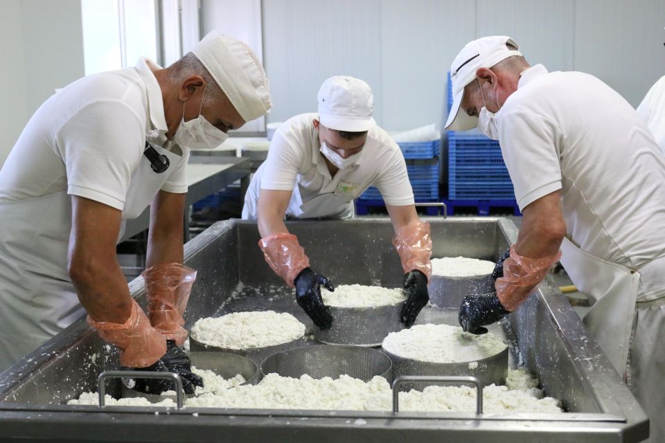 Tenerife - Farm Tour with Cheese Tasting - A one-hour working farm visit in Tenerife: what you get