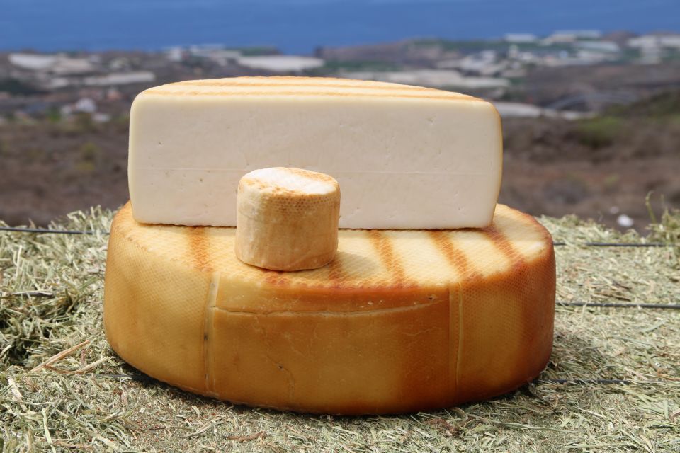 Tenerife - Farm Tour with Cheese Tasting - Meeting at Quesería Montesdeoca: your first look at farm life