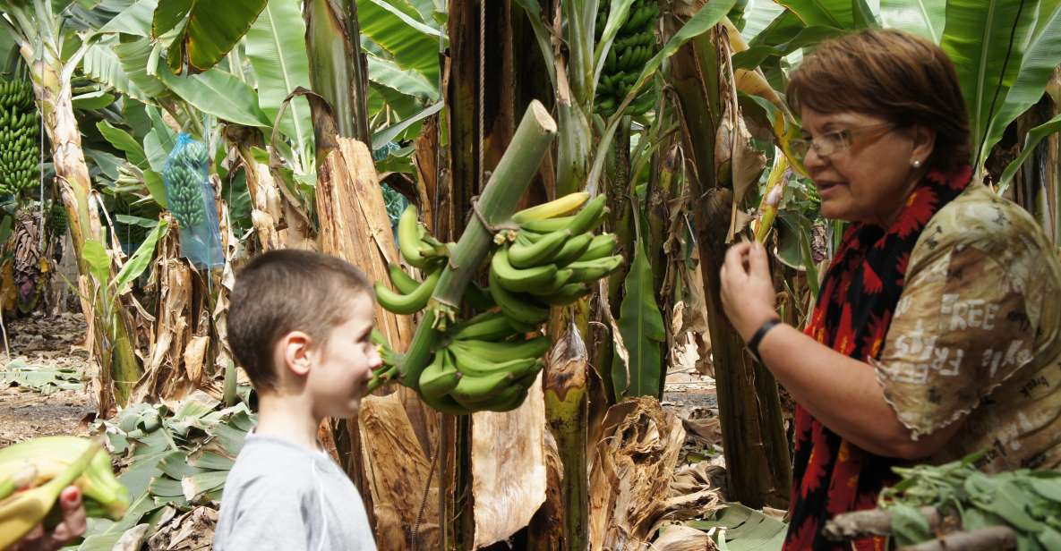 Tenerife: Finca Las Margaritas Banana Plantation Experience - Guided vs self-guided: pick the style that matches your group