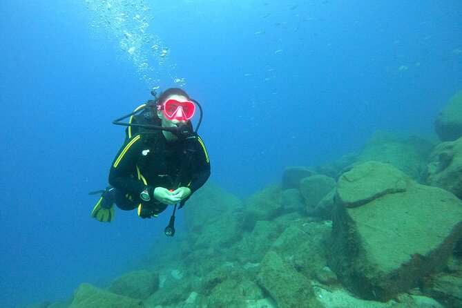 Tenerife First Time Scuba Dive – Turtle Habitat, Small Groups - Puerto Colón to the Underwater Spot: Boat Ride, Safety Talk, and Paperwork