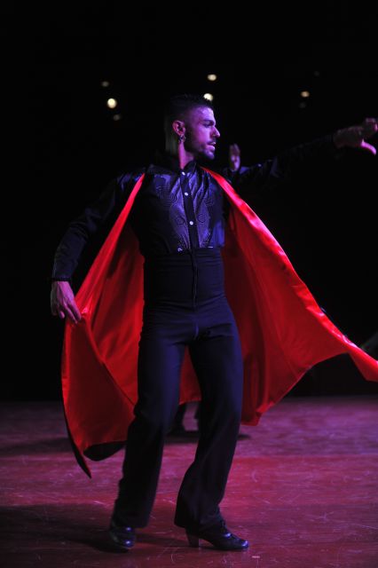 Tenerife: Flamenco Performance at Teatro Coliseo - Accessibility and Who Should Think Twice
