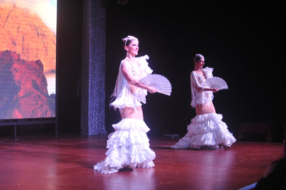 Tenerife: Flamenco Performance at Teatro Coliseo - Costumes, Program Clues, and How to Get More Out of the Show