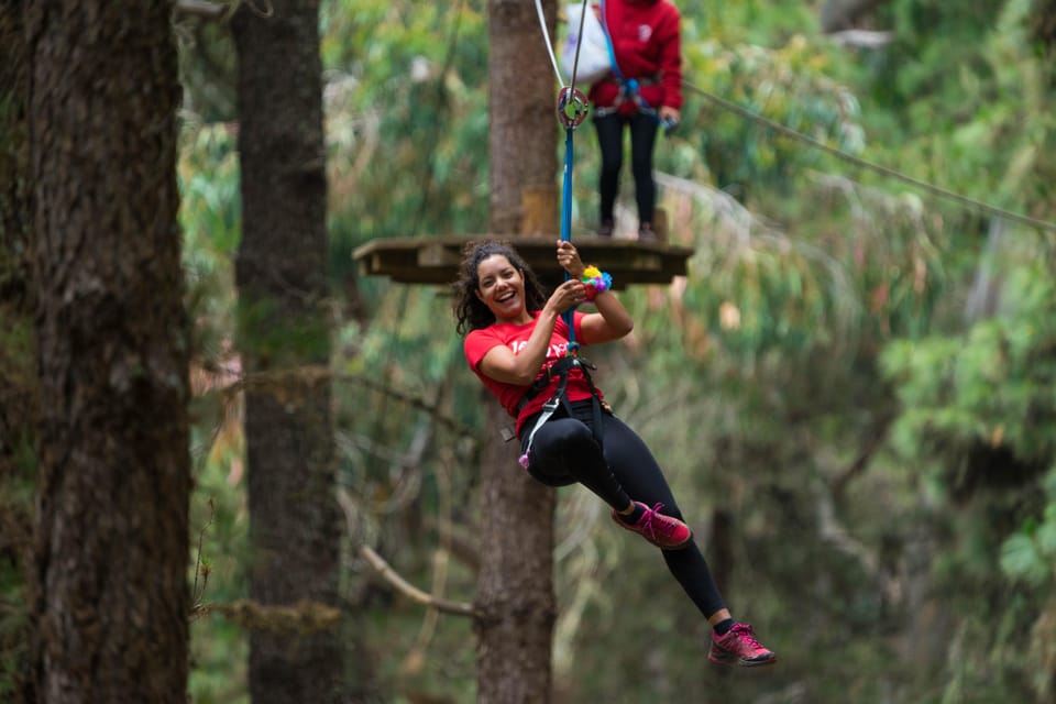 Tenerife: Forestal Park Tenerife Entry Ticket - Key highlights you should care about