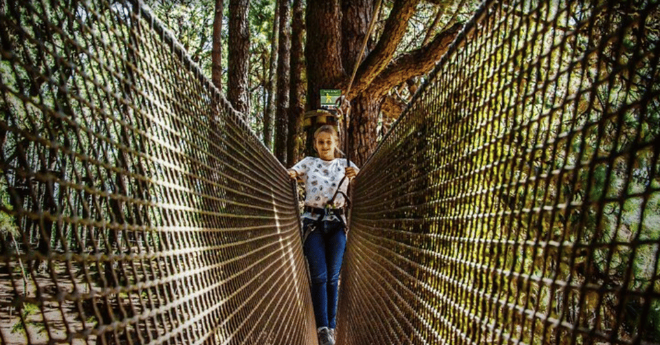 Tenerife: Forestal Park Tenerife Entry Ticket - Forestal Park Tenerife in Las Lagunetas: treetops by Teide’s doorstep