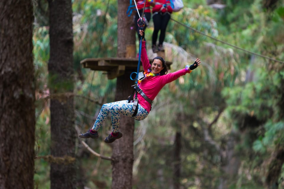 Tenerife: Forestal Park Tenerife Entry Ticket - Safety reality check: who should skip (and who should think twice)