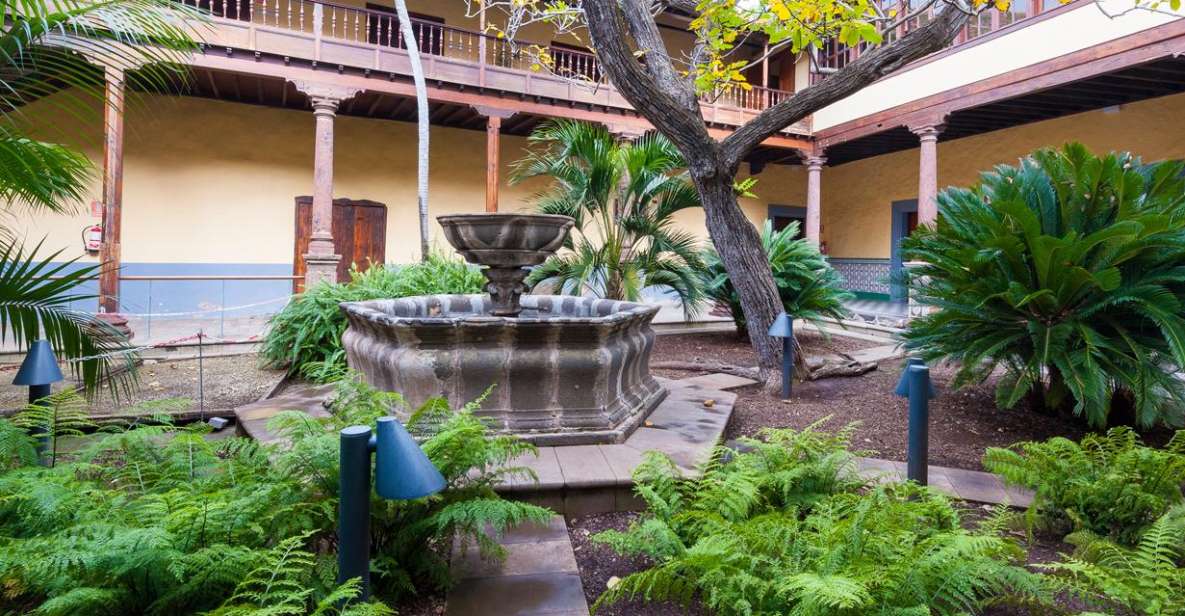 Tenerife: Full-Day Gastronomy and Wine Tour - The Big Idea: A Wine Tour That Actually Eats